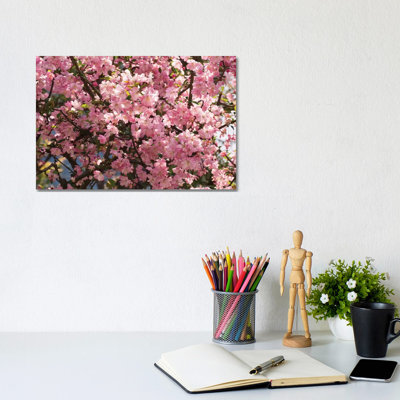 Close-Up Of Pink Cherry Blossom Flowers, Imperial Garden, Tokyo, Japan I by Panoramic Images - Wrapped Canvas Print