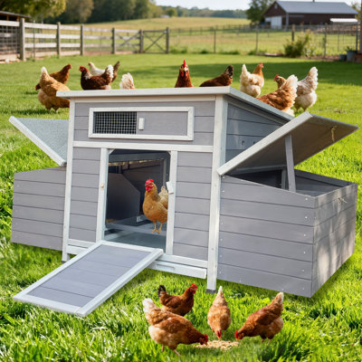 Poulaillers spacieux, grand poulailler en bois de style ferme pour jardin