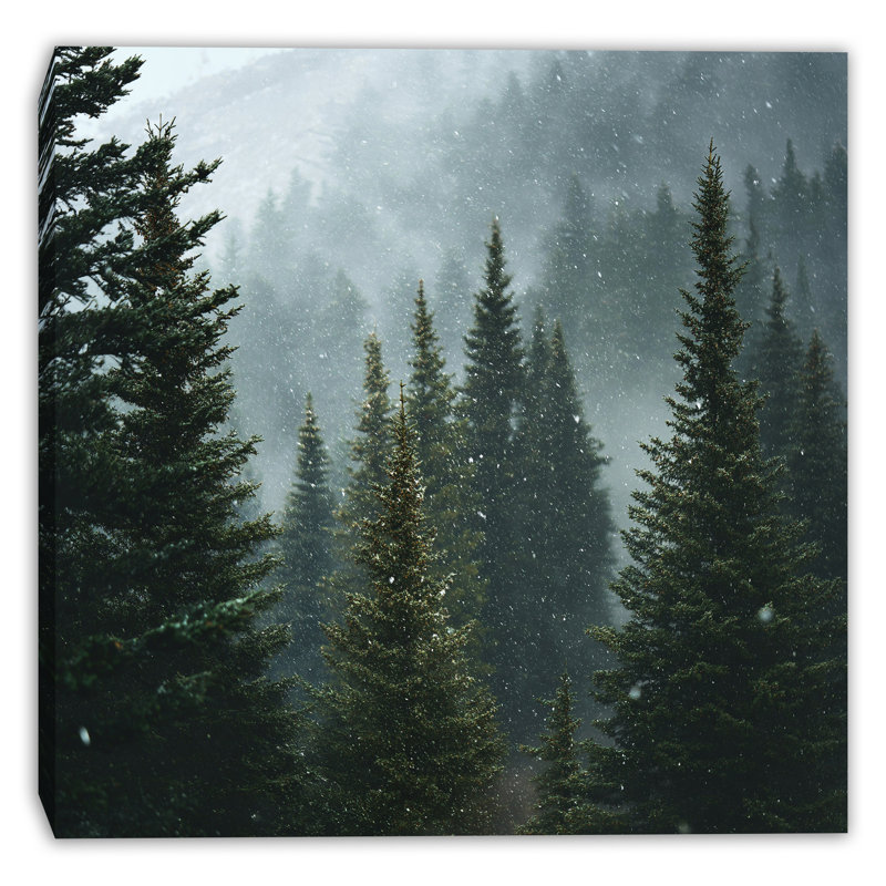 Art mural sur toile Calm Winter Woodland, 40 po x 40 po