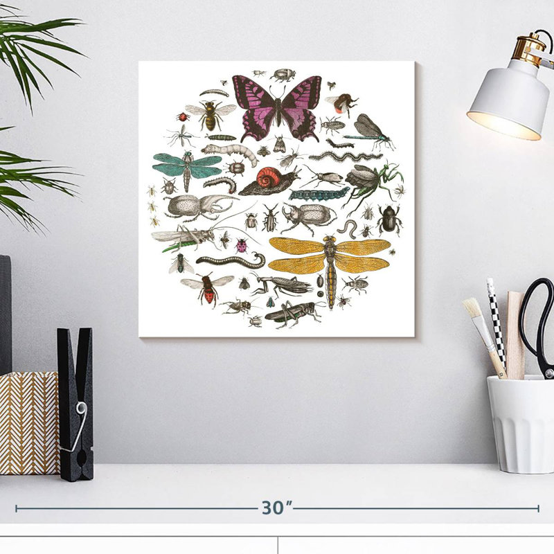 Brampt Insect Circle II Bright, 16" H x 16" W