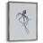 MarineLifeIV Framed Print - Solid Wood