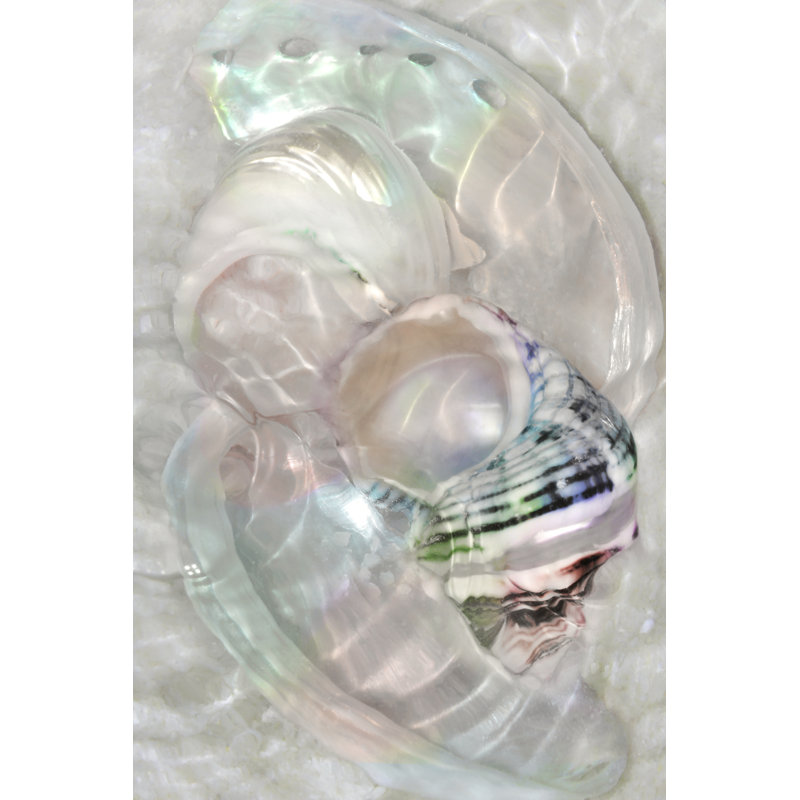 Underwater Light Waves V - Print on Canvas, 76 cm H x 51 cm W, Wrapped Canvas