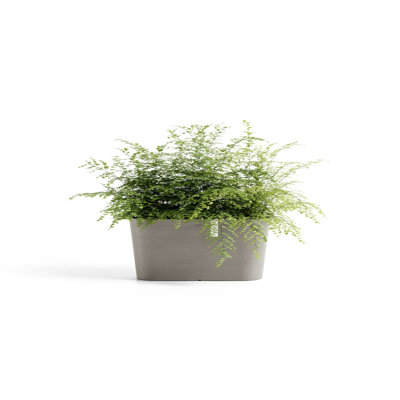 Pot Planter