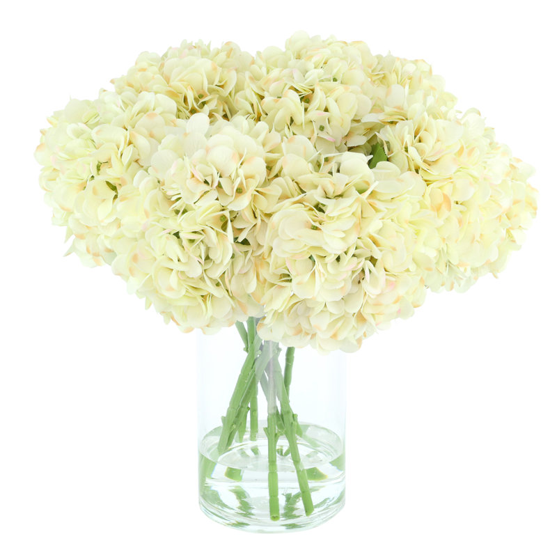 Hydrangeas Arranged in a Glass Vase, Cream