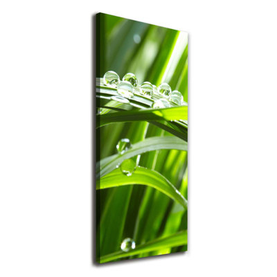 Blades Of Grass - Wrapped Canvas Print