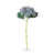 Garden Blue Plum selected