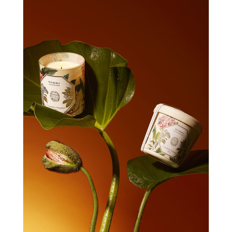Frangipani Candle