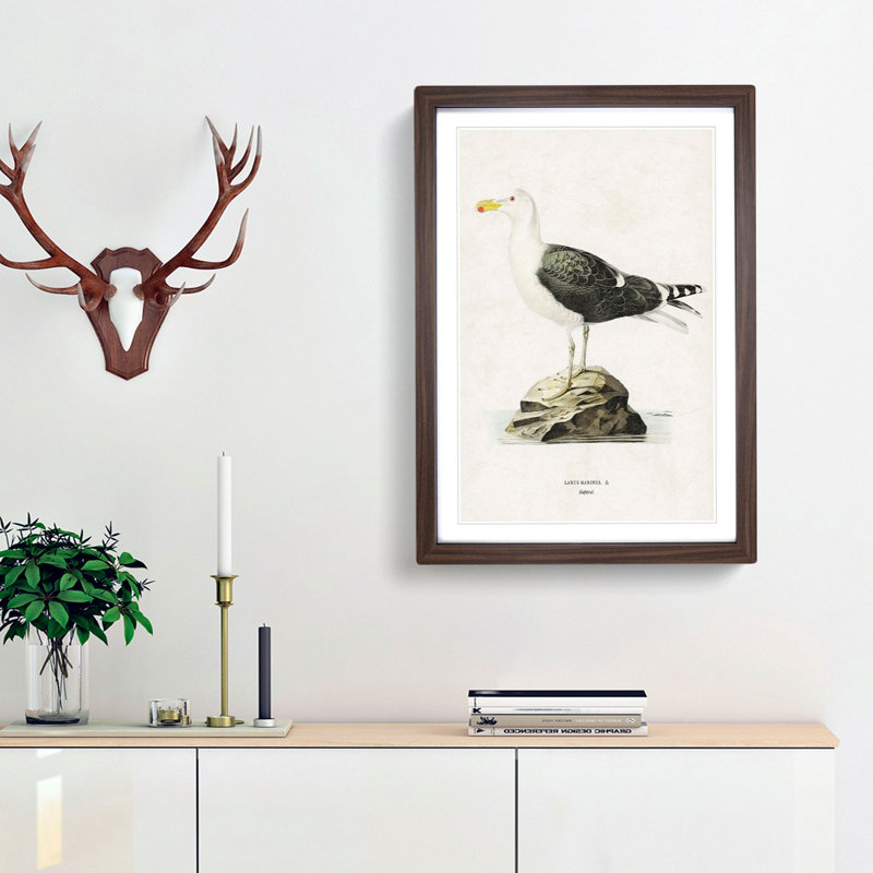 Great Black-Backed Gull by Von Wright - Picture Frame Painting Print, 87cm H x 62cm W x 2cm D, Walnut Framed