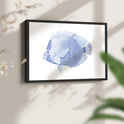 Poisson tropical bleu et blanc VI - reproduction encadrée
