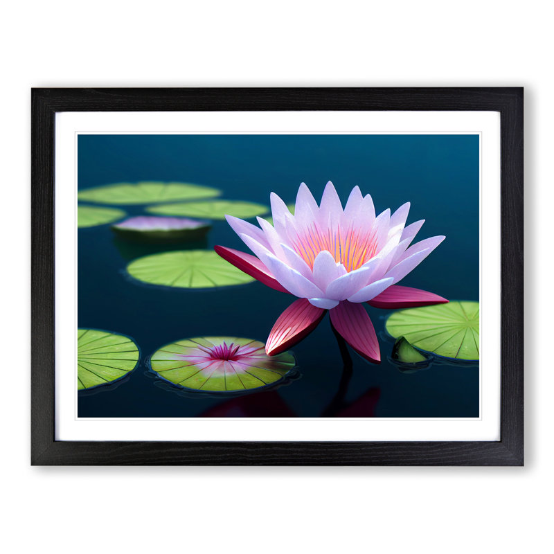 Hypnotic Water Lily Flower - Single Picture Frame Print, Black, 46cm H x 64cm W x 2cm D