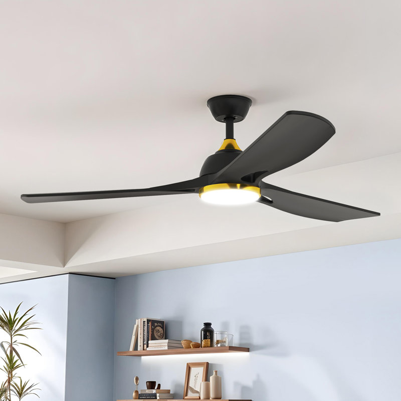 Mercer41 56 Inch Gold Ceiling Fan With Light 3-Blade Modern Smart Reversible Ceiling Fan, Black