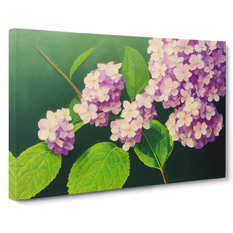 Gorgeous Hydrangea Flowers - Wrapped Canvas Print, 35cm H x 50cm W x 3cm D