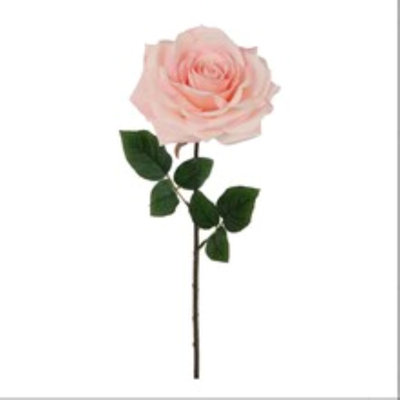 20" Open Rose Stem - 4 Pack