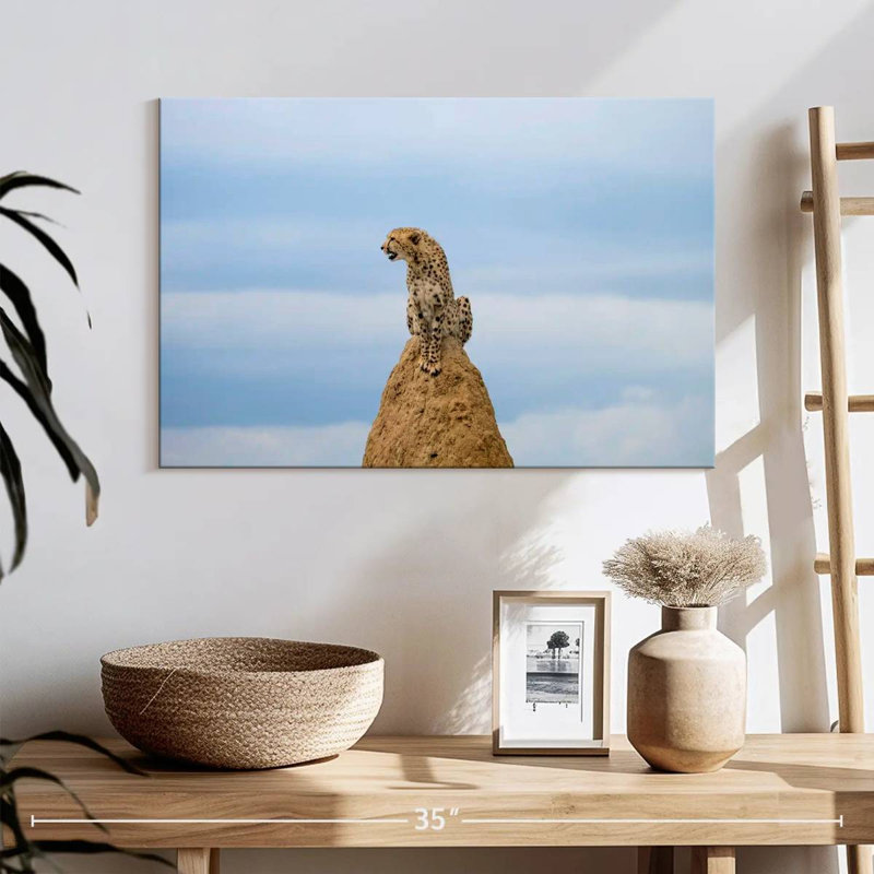 Scouting Wild Cat, 16" H x 24" W