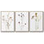 Pressé botanique I 3 pièces-97711657-97711650