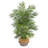 Areca Palm Artificial Tree in Woven Planter