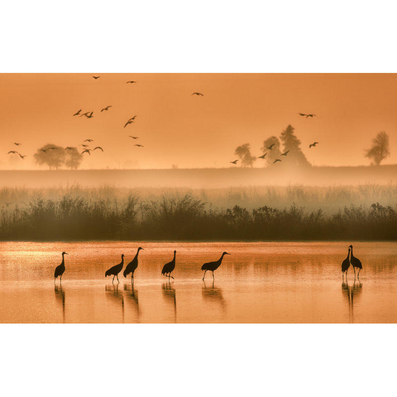 Wrapped Canvas Print, 50.8 cm H x 76.2 cm W