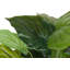 125cm Faux Banana Leaf Plant in Pot