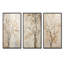 Minimalisme sycomore beige arbre solitude - ensemble de 3 décorations murales sycomore-260237729-260237731