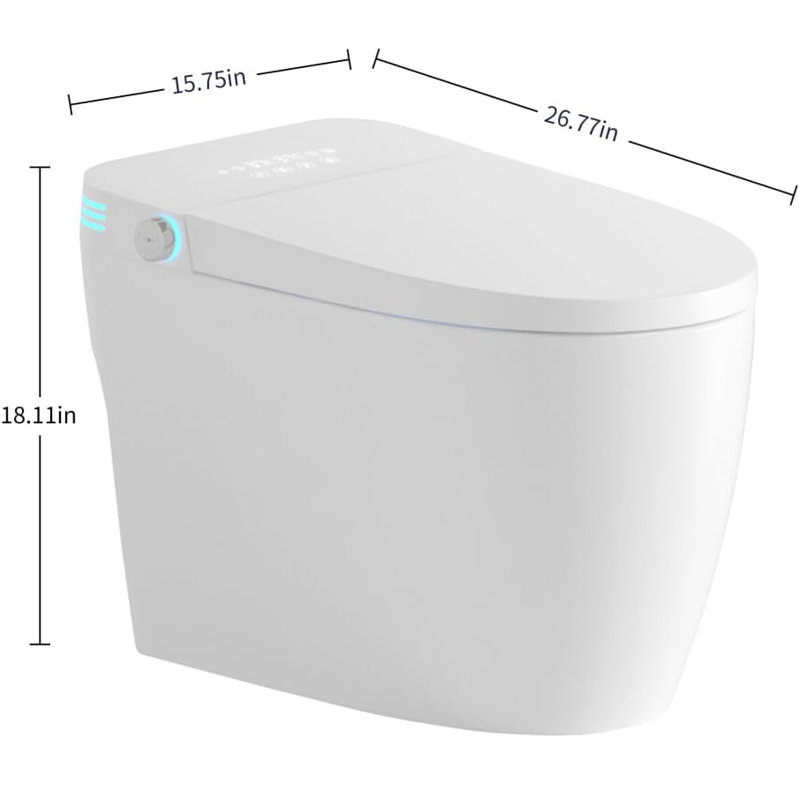 Tankless Smart Toilet With Bidet Built In, One-piece Bidet Toilet Seat, Auto Flush, Auto Open/close,heated Seat, Warm Water And Dry, Adjustable Temp,remote Control Side Know