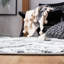 Angell Southwestern Area Rug-587365028