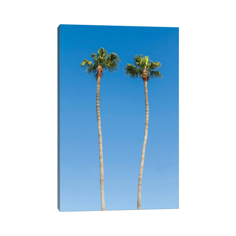 Palm Trees by Melanie Viola - Wrapped Canvas Print, 20.32 cm H x 30.48 cm W