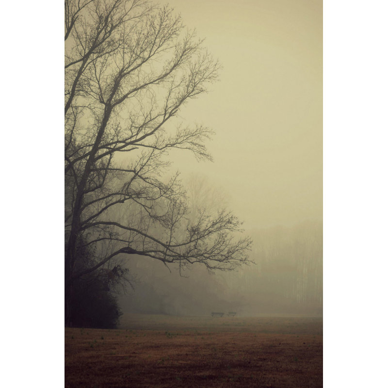 Robin Delean - Print, 45cm H x 30cm W, Wrapped Canvas