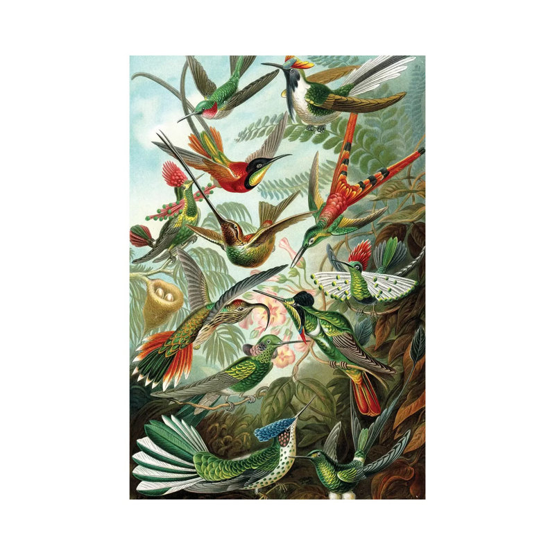Haeckel Hummingbirds by PatentPrintStore - Wrapped Canvas Print, 66.04 cm H x 45.72 cm W x 1.91 cm D
