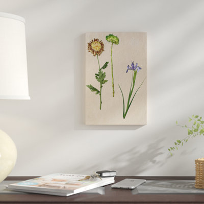 « pretty-pressed fleurs iii », reproduction d’impression sur toile tendue