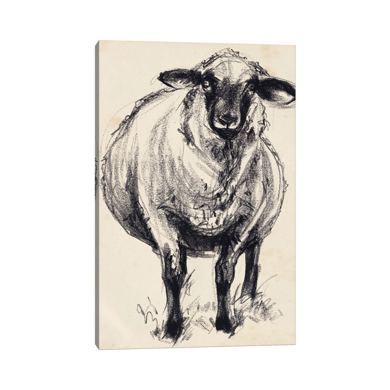 Charcoal Sheep II by Jennifer Paxton Parker - Wrapped Canvas Painting, 20.32 cm H x 30.48 cm W