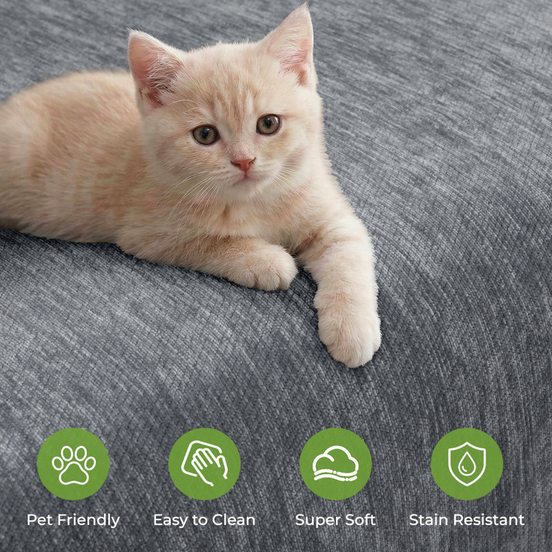 Housse de protection chenille anti-dérapante lavable pour les animaux de compagnie, H 134 po x l 71 po, Gris foncé