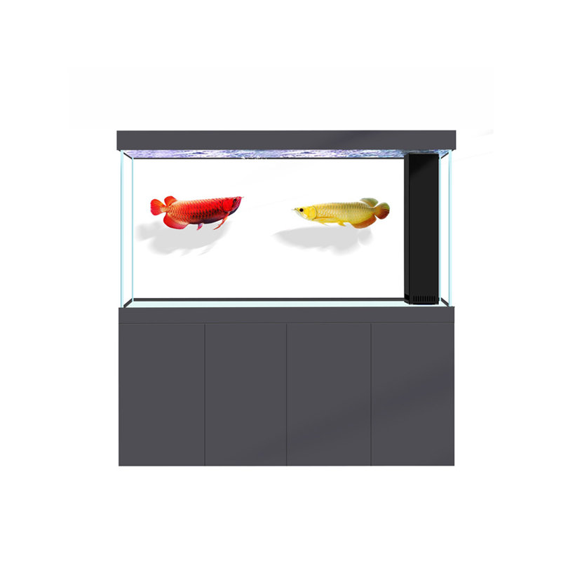 Réservoir d'aquarium rectangulaire simple et moderne Eco, 166 gallons (H 63 po x l 70,8 po x P 19,6 po), Gris