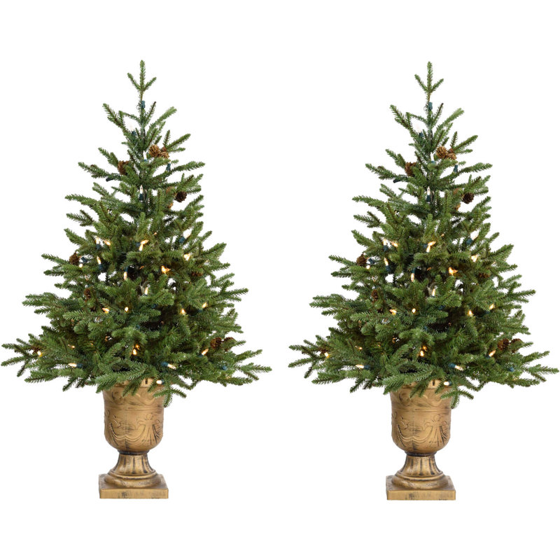 Noble Fir 4' Potted Christmas Tree with LED Lights