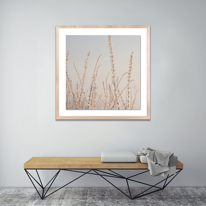 Hoar Frost White Print by Pernille Westh, 24" H x 24" W x 1.5" D, Natural