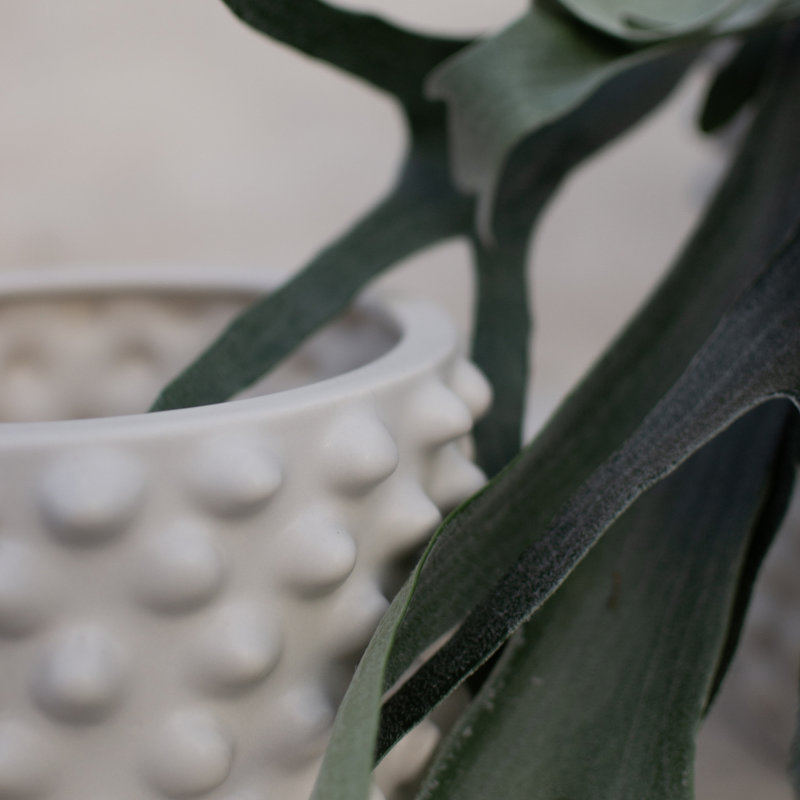 Pot de fleurs en céramique Cloudy, H 5,12 po x l 5,91 po x P 5,91 po, Gris beige