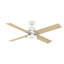 54" Daphne 4 - Blade LED Standard Ceiling Fan with Wall Control and Light Kit Included-294288341