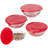 20-Piece Glass Bowls with Lids Set - Strawberry Design Mixing Bowls Set with Multiple Sizes