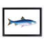 Alpine Charr Fish by Edward Donovan - Single Picture Frame Painting-55545112-55545111