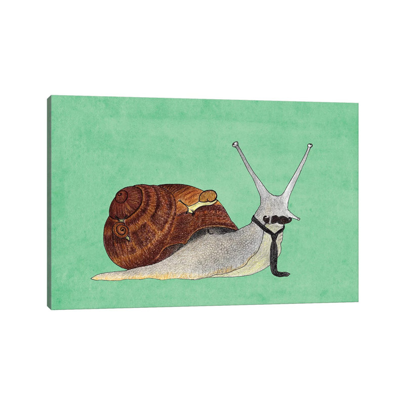 Mr. Snail by Barruf - Wrapped Canvas Painting