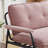 Myrion 53" Tufted Upholstered Loveseat with Metal Frame-114611303