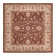 Oriental Indoor Rug
