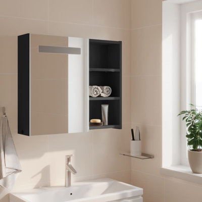 Adrianny W 52mm H Freestanding Framed Medicine Cabinet Mirror