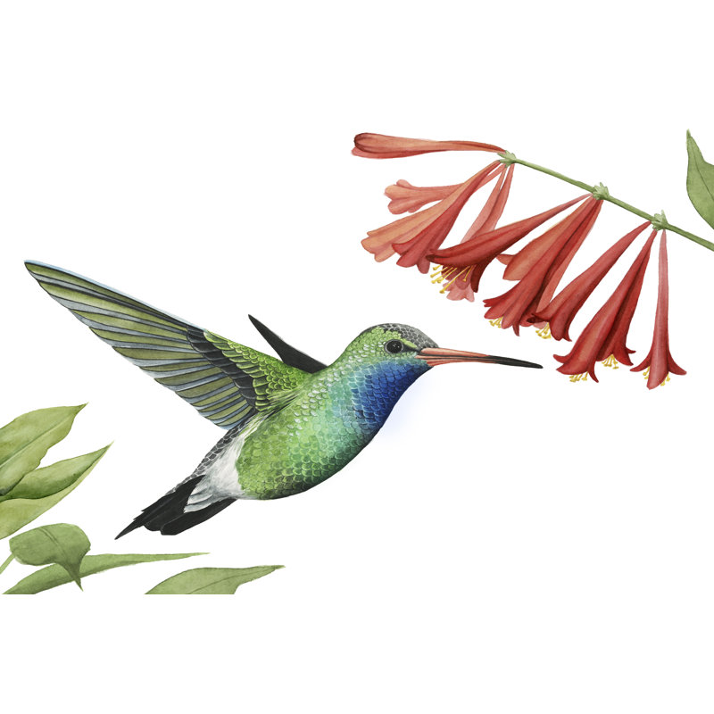 Colibri et fleur II, H 12 po x l 18 po x P 1,25 po