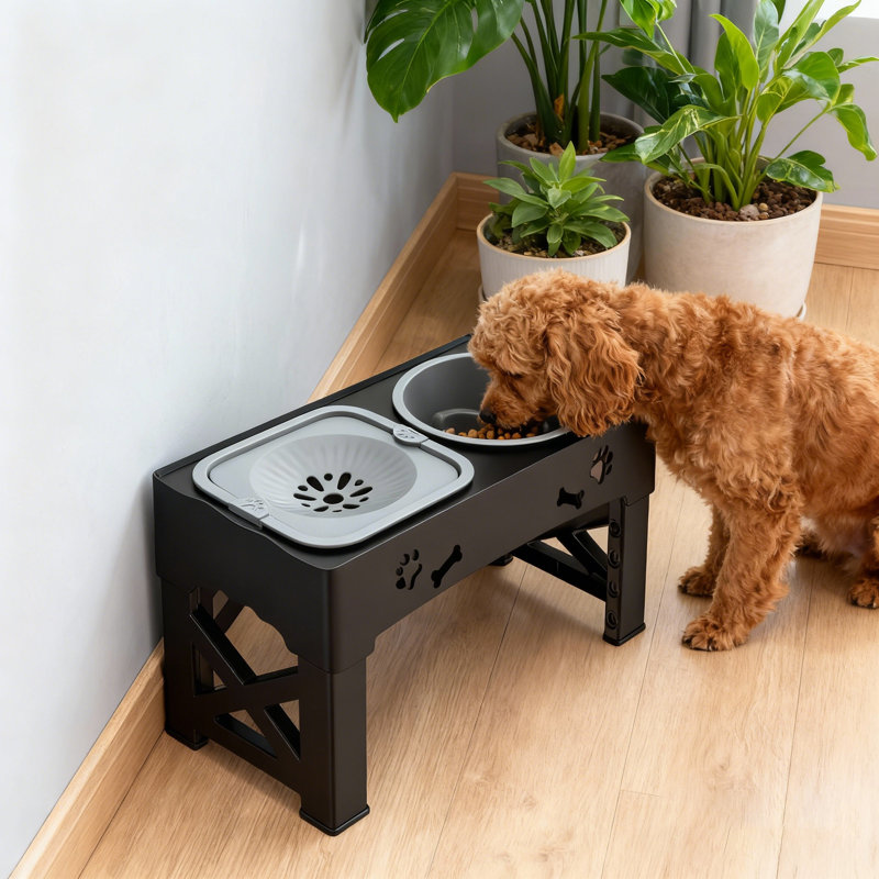Mangeoire surélevée 2 tasses pour animaux