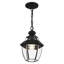Lanterne suspendue d'extérieur 1 lumière H 10,75 po Alexavier-529880547