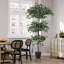 185cm Faux Zamioculcas Tree in Freestanding