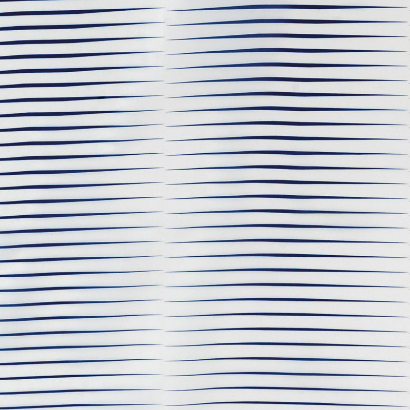 Adetayo Polyester Shower Curtain