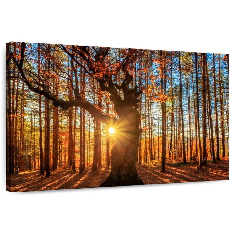 Forêt de montagne Alvord Rhodope, H 24 po x l 36 po