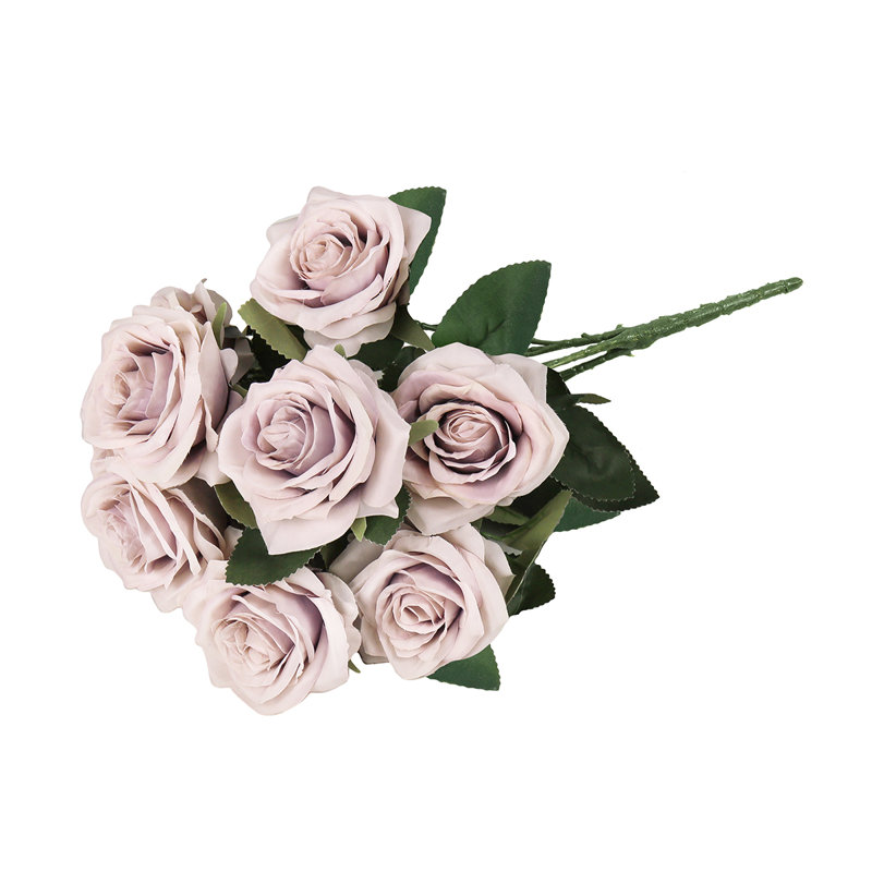Grand rosier Jaafer Deluxe, Beige lavande