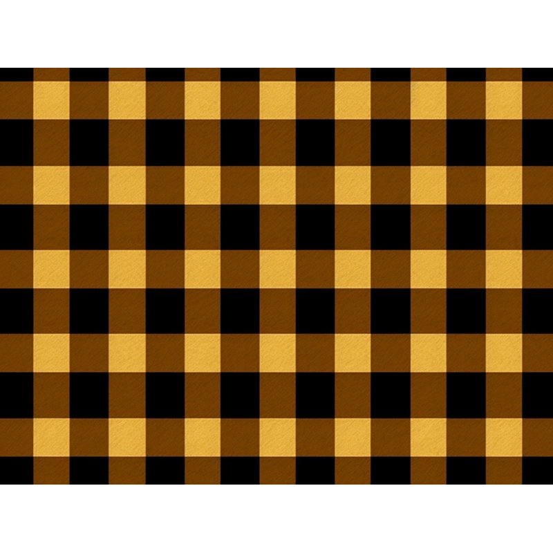 Rideau de douche Sarea Gingham, H 93 po x l 70 po